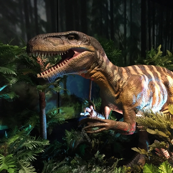 Meet your Posher, C - Picture 1 of 1